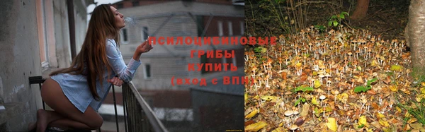 таблы Алзамай